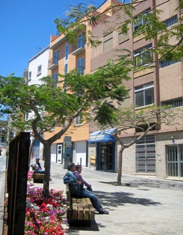 S/C De Tenerife, Apartamento 1 Dormitorio 圣克鲁斯-德特内里费 外观 照片